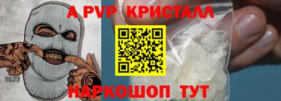 СК Новодвинск
