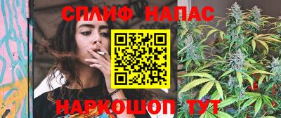 СК Новодвинск