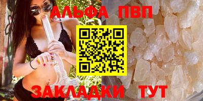 СК Новодвинск