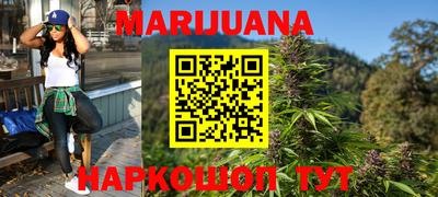 СК Новодвинск