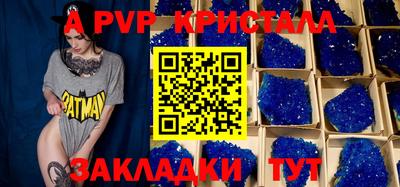 СК Новодвинск