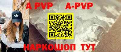 СК Новодвинск