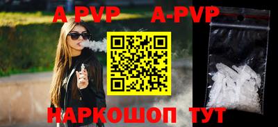 СК Новодвинск