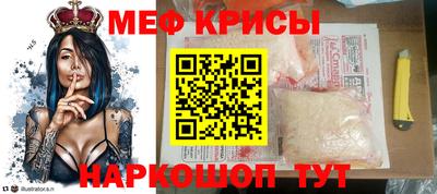 СК Новодвинск