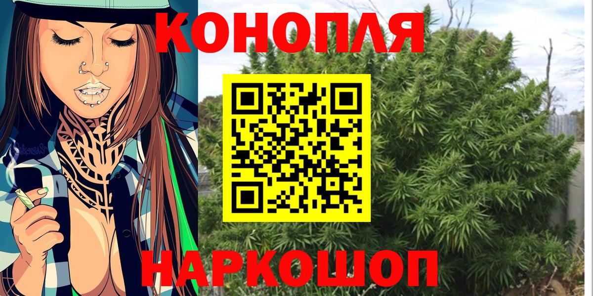 Бошки Шишки гибрид Сосновый Бор